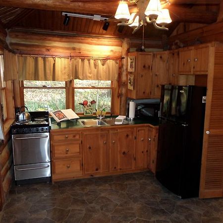Lake Lucerne Treehouse Villa Eureka Springs Ngoại thất bức ảnh